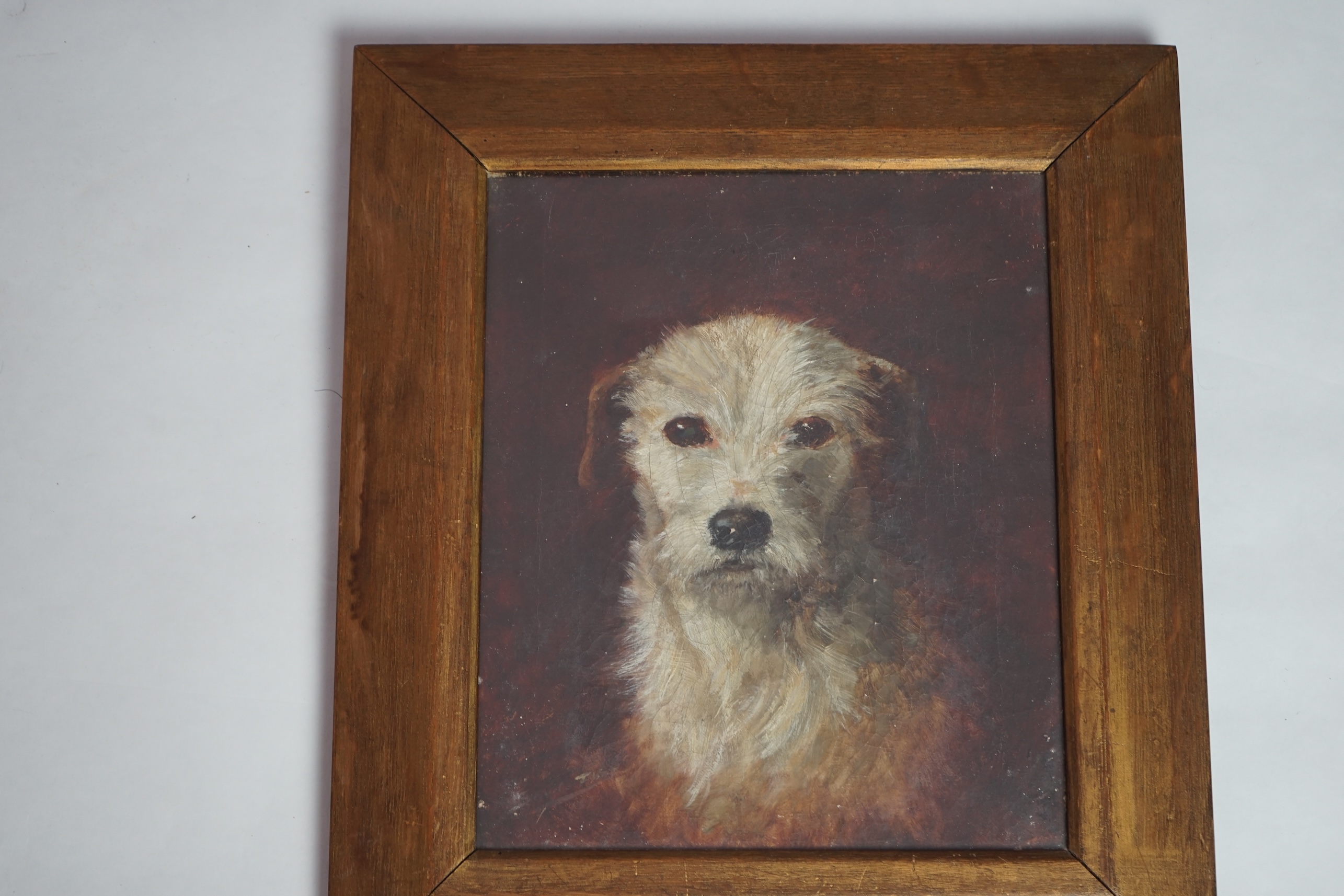 Savile Lumbley Flint (fl.1880-95), Study of a fox terrier and a rough coated terrier, oils on canvas, 30 x 25cm